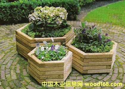 ������Ԕ��(x��)��B