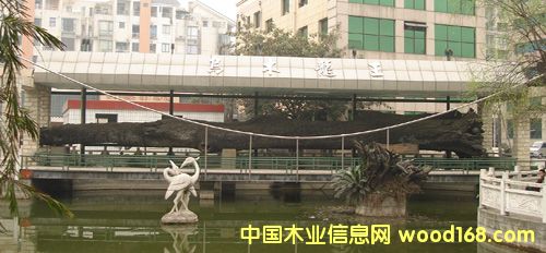 ��ľ������Ԕ����B