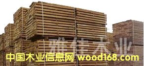 䏲ĵ�Ԕ����B