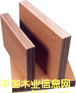 ������Ԕ��(x��)��B