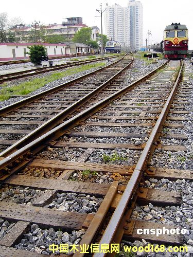 ������ľ��Ԕ����B