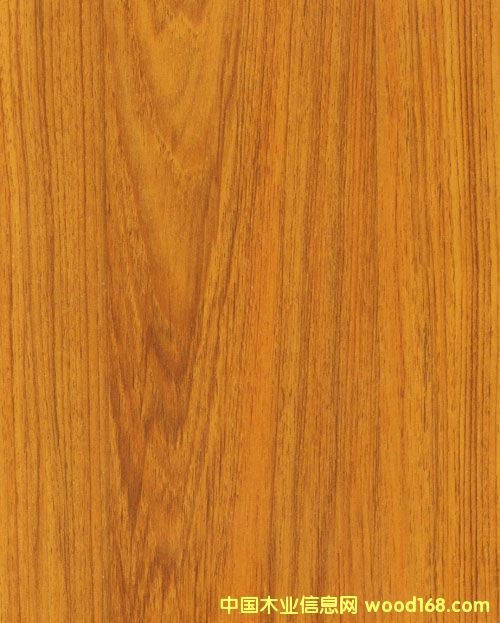 ��Ȼ���L(f��ng)�������ذ��Ԕ��(x��)��B