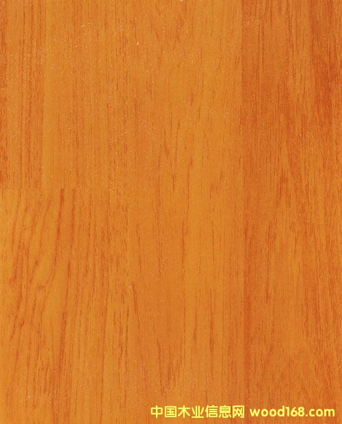 ��Ȼ���L(f��ng)�������ذ��Ԕ��(x��)��B