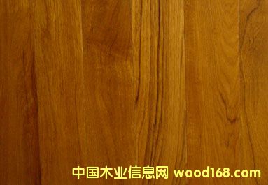 ̩��ľƤ��Ԕ����B