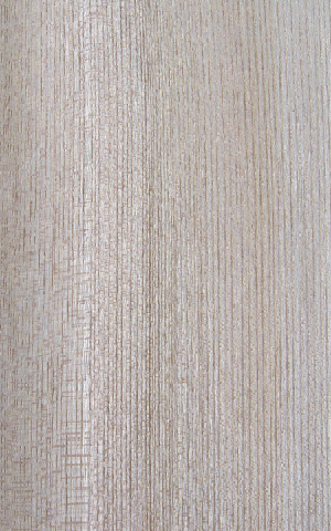 ��(gu��)�a(ch��n)��˨��ֱ�y��china  hackberry(Q)