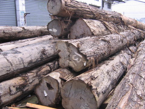 ԭľ��Ԕ����B