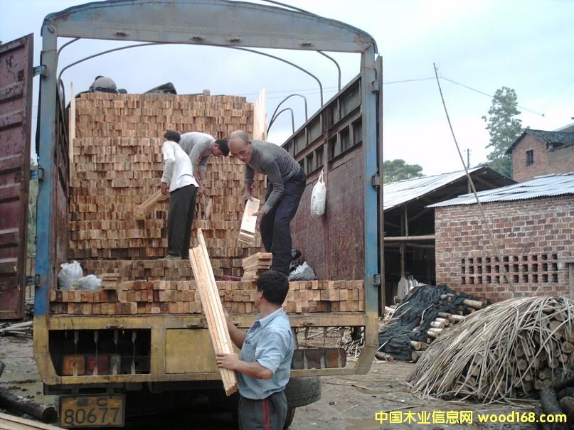 ɼľ�ذ�(ë��)��Ԕ����B