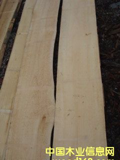 ��ľ��ĵ�Ԕ����B