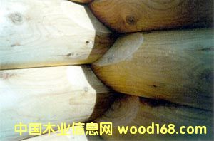 �Aľ�ݽY(ji��)��(g��u)��Ԕ��(x��)��B