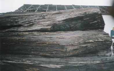 ����õ��tľ��Ԕ��(x��)��B