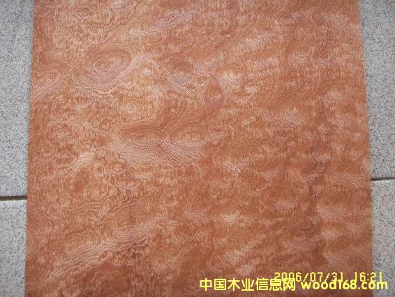 ����ɳ����ľƤ��Ԕ����B