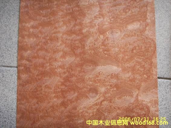 ����ɳ����ľƤ��Ԕ����B