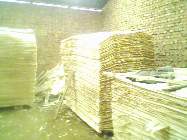 ��ľ���N���eƤ