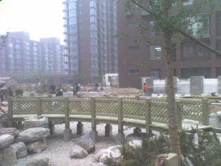 ����ľ��Ԕ����B