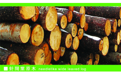 �c���鿴ԭľ�巽�Ŵ�DƬ