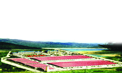 �c���鿴���H�Q��䏲ļӹ��^(q��)�Ŵ�DƬ