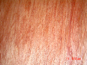 ���Іΰ��Ԕ����B