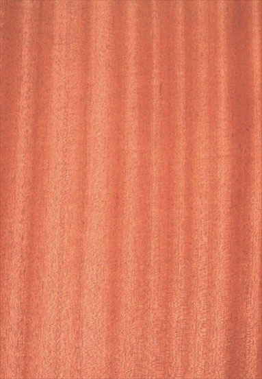 ����(y��ng)-ɳ�����N����Ԕ����B