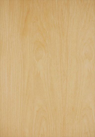 ����(y��ng)-��ʿ�m�����N����Ԕ����B