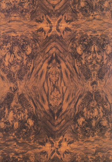 ����(y��ng)-���Ҙ�������