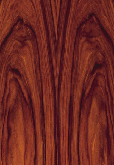 ����(y��ng)-������֦�����Ԕ����B