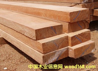 ������Ԕ��(x��)��B