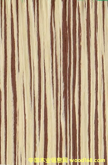 �G�ٵ�Ԕ����B