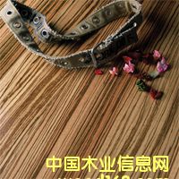 �h���b��Ͽ���ϵ�ж��ӌ�ľ�ذ壨���Rľ����Ԕ����B