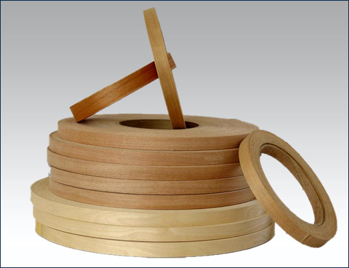 �N�o(w��)������߅�l��Ԕ��(x��)��B