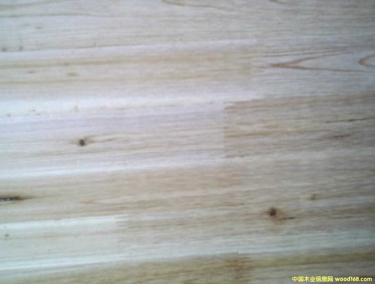 ָ�Ӱ��Ԕ��(x��)��B