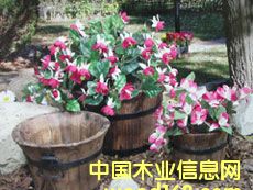 ͥ�@����Ʒ��Ԕ��(x��)��B