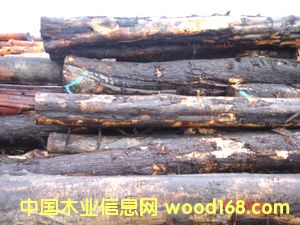 ̫ƽ�󺣰���ľ��Ԕ��(x��)��B