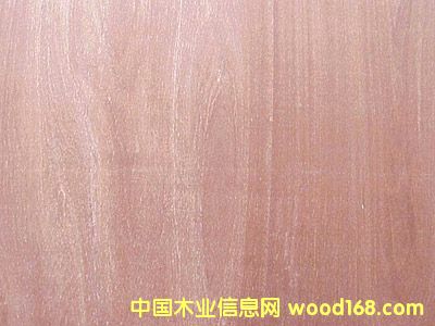 ������ľ����Ԕ��(x��)��B