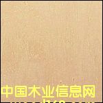 �һ���(�W����)������Ԕ��(x��)��B