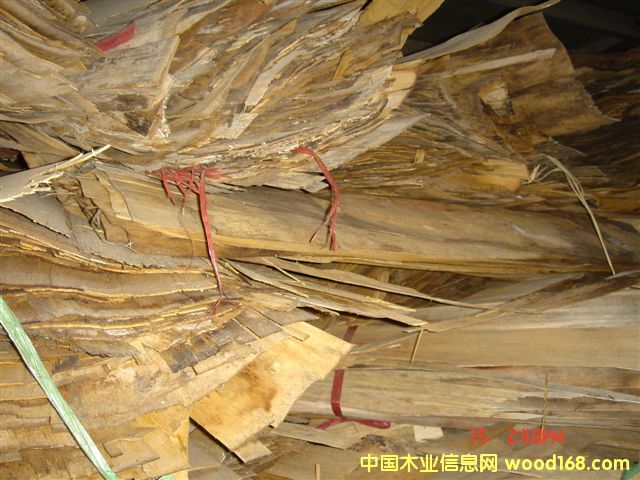 �z�ϰ�; ľƤһ��