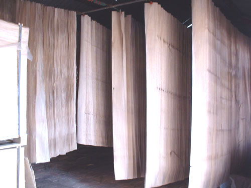 ͩľƤ��Ԕ��(x��)��B