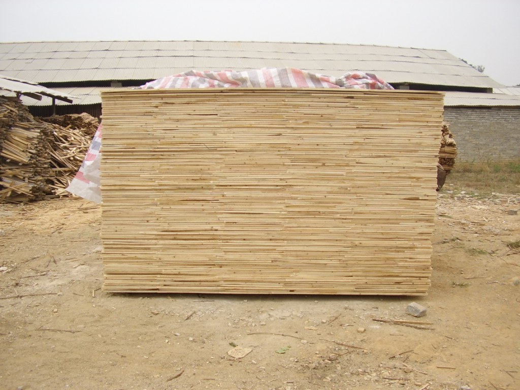 ��(x��)ľ�����Ԕ��(x��)��B