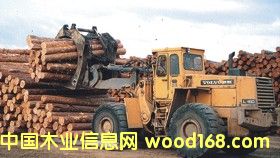 ԭľ