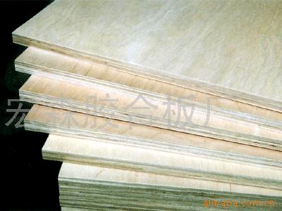 ��������Ͱ��b�估�бP�����z�ϰ��Ԕ��(x��)��B