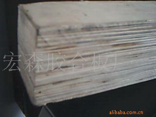 ���ڰ��b�估�ϱP���ö��Ӱ�l�������|��