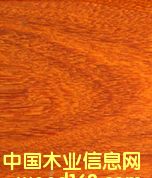 ���P̴��Ԕ��(x��)��B