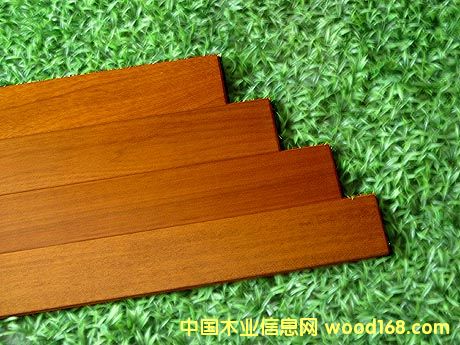 �wƤ����/�հ���(TAUARI)��Ԕ��(x��)��B