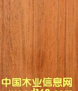 Jatoba���Z�аͣ���Ԕ��(x��)��B