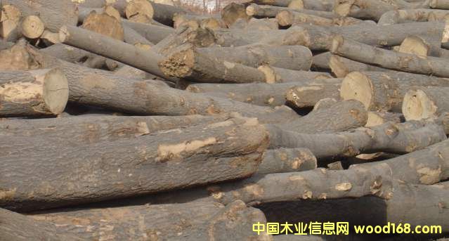 ͩľƴ���Ԕ��(x��)��B