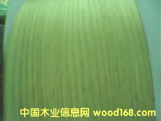 ��ľ��Ԕ��(x��)��B