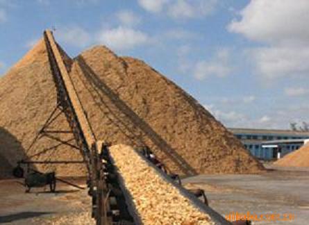 ��ľƬ��Ԕ����B