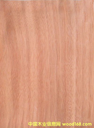 �W����(�һ�о)����