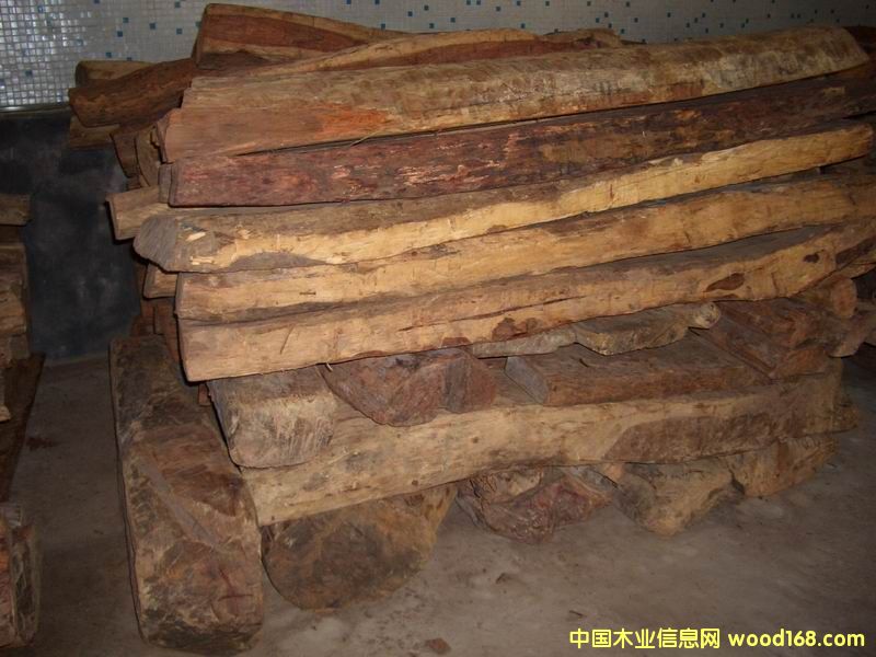 ԭľ��Ԕ����B