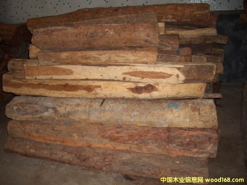 ԭľ��Ԕ����B