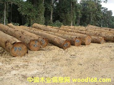 �W����ԭľ��Ԕ��(x��)��B